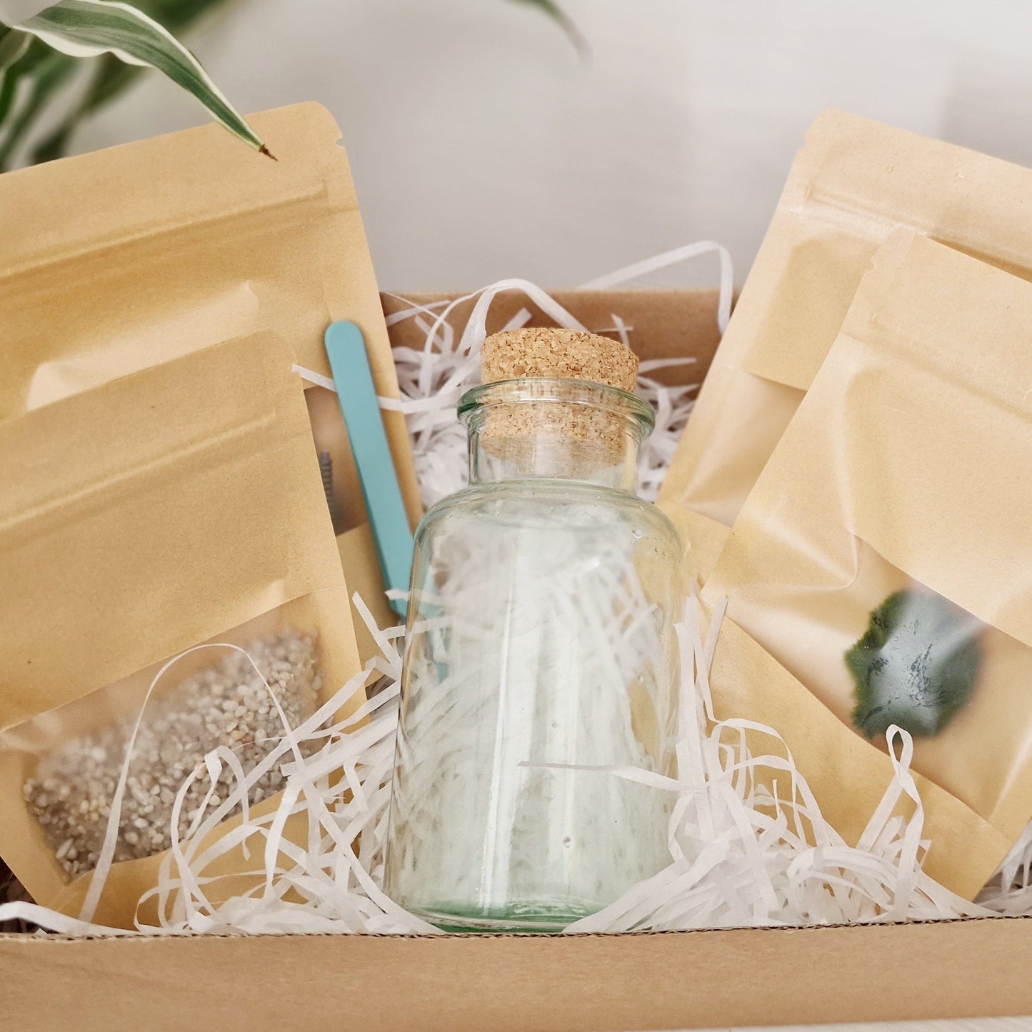 Dapper Tumbleweed with Wine