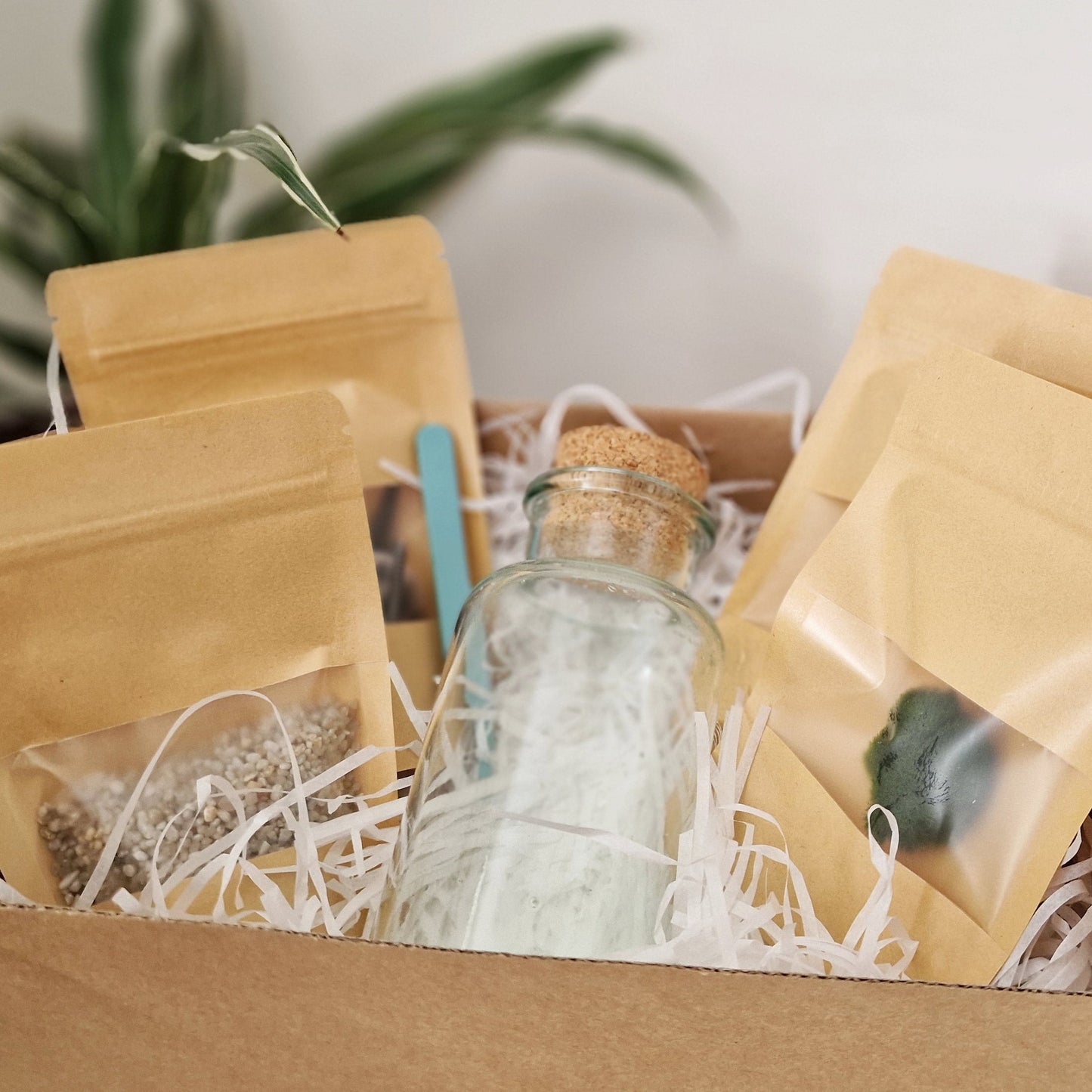 Magical Marimo with a Sorting Hat