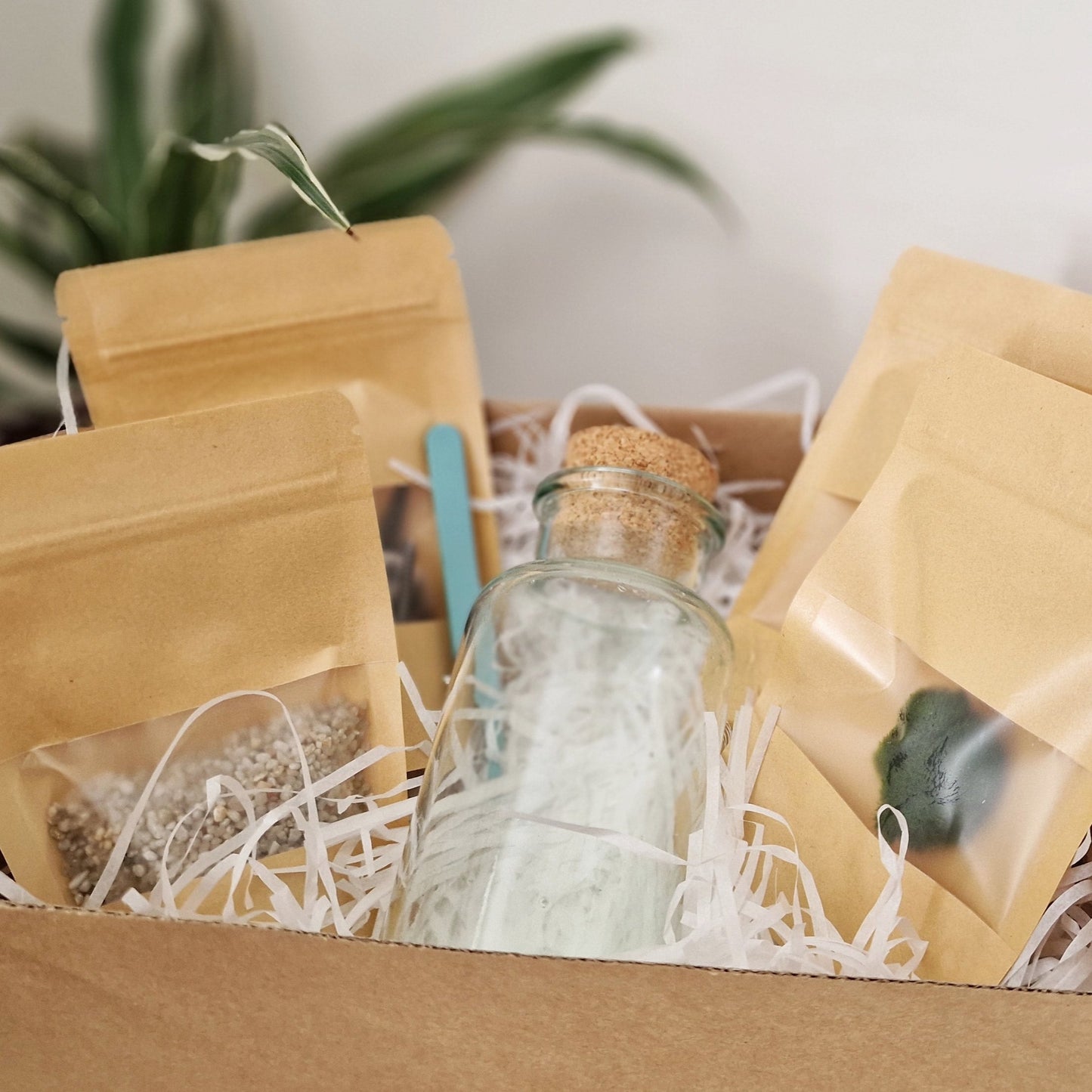 Marimo with a Traffic Cone