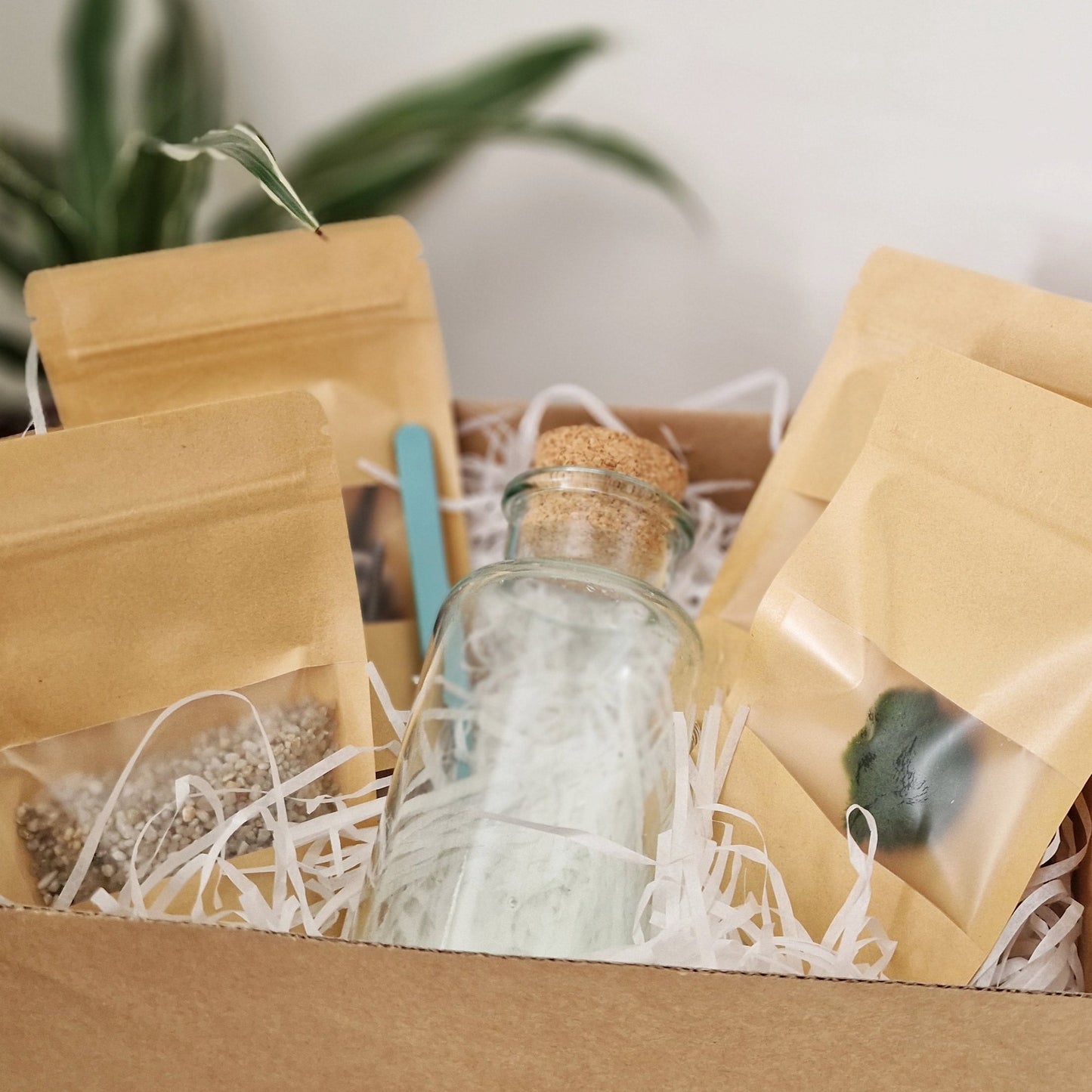 Marimo with Cute Axolotl