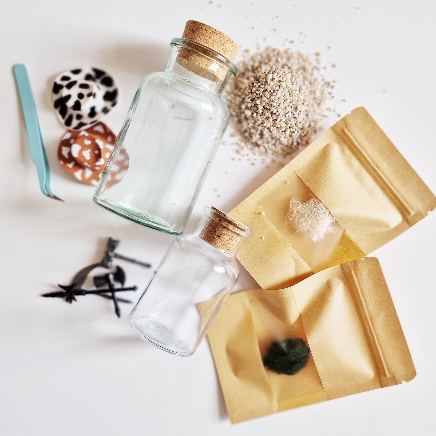 Tumbleweed Wizard and Axolotl