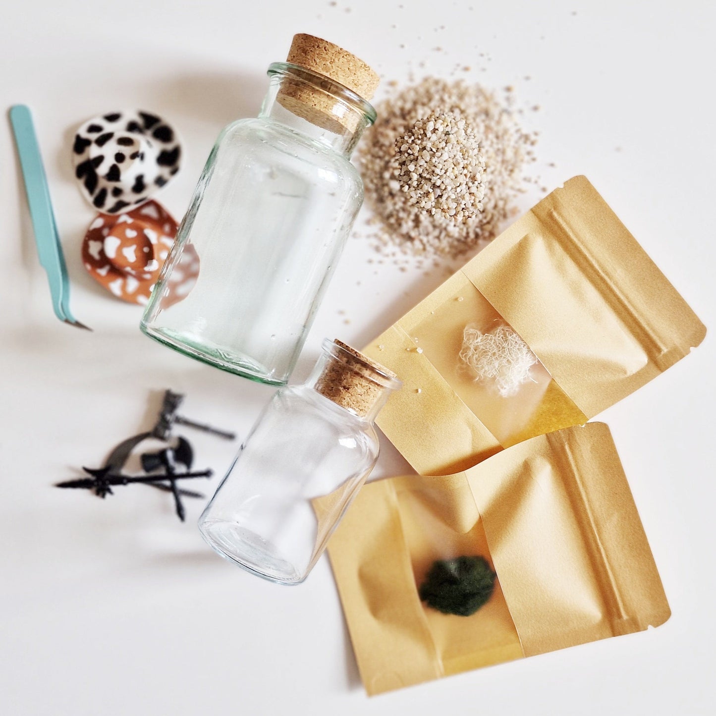 Marimo with a Traffic Cone