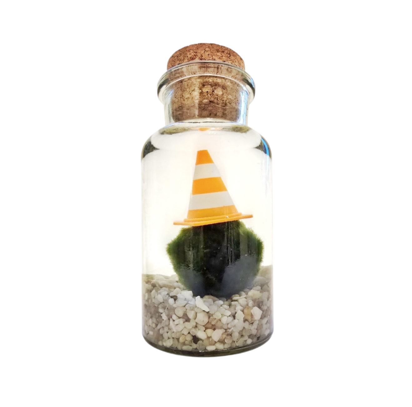 Marimo with a Traffic Cone