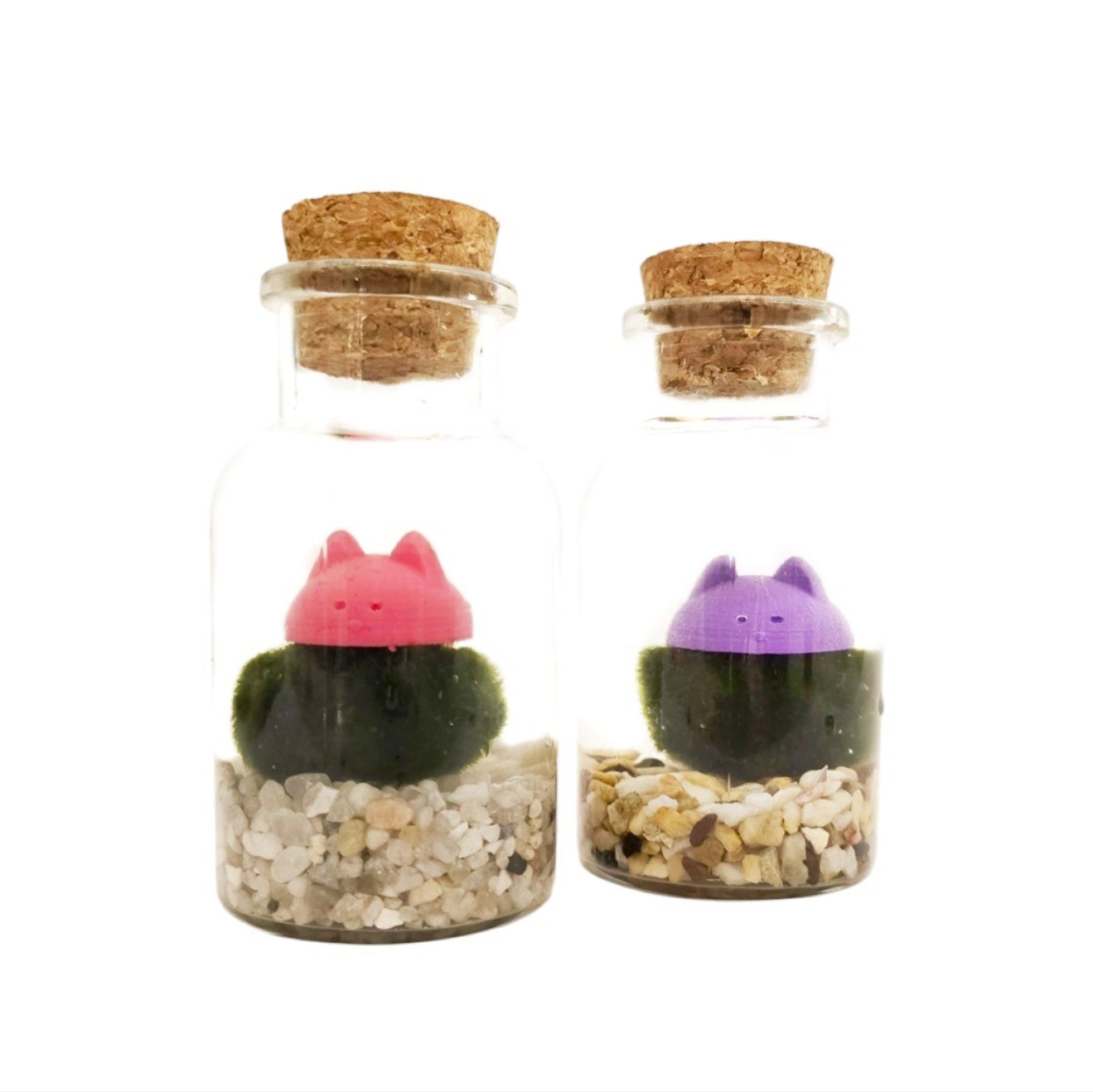 Marimo with a Cat Hat