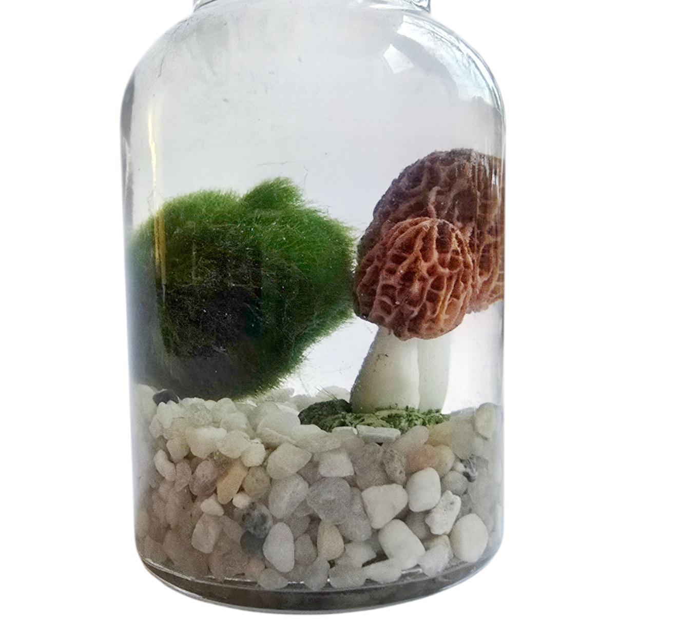 Shroom Marimo
