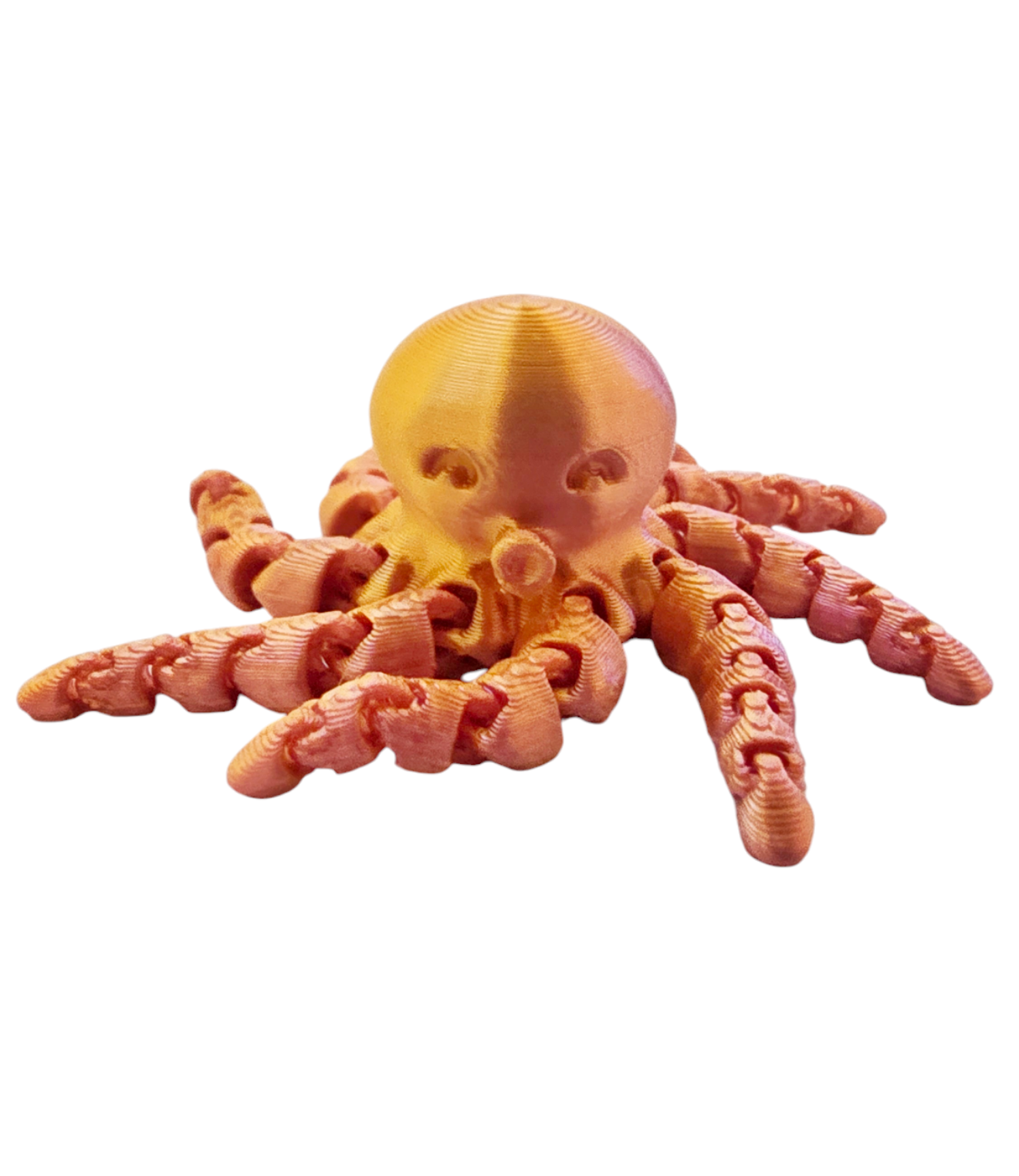 Marimo with an Octopus Friend