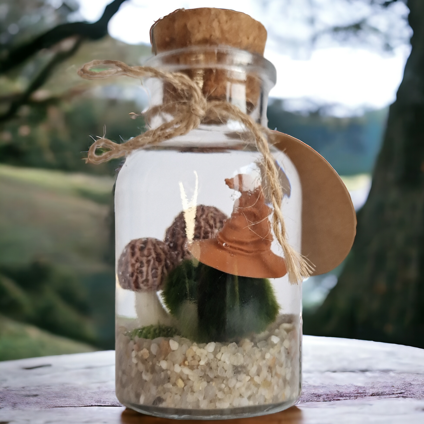 Magical Marimo with a Sorting Hat