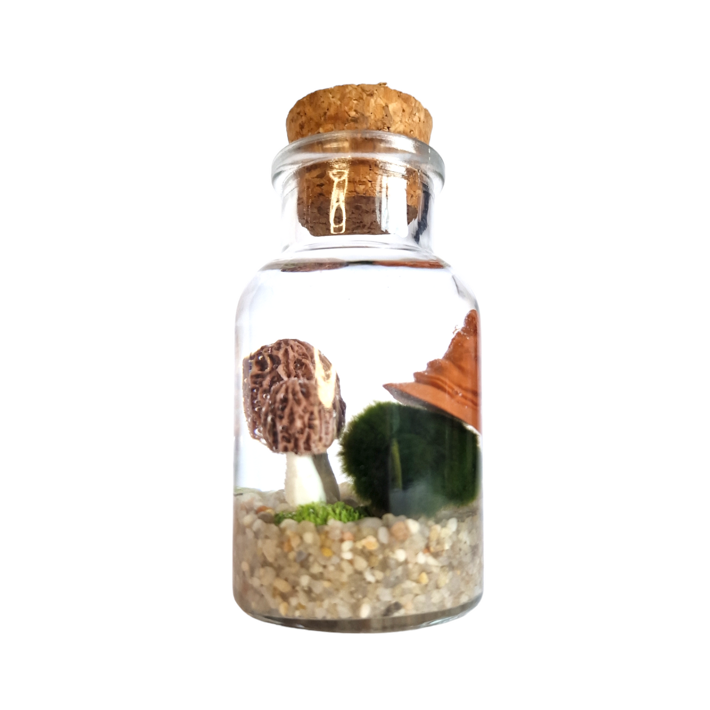 Magical Marimo with a Sorting Hat