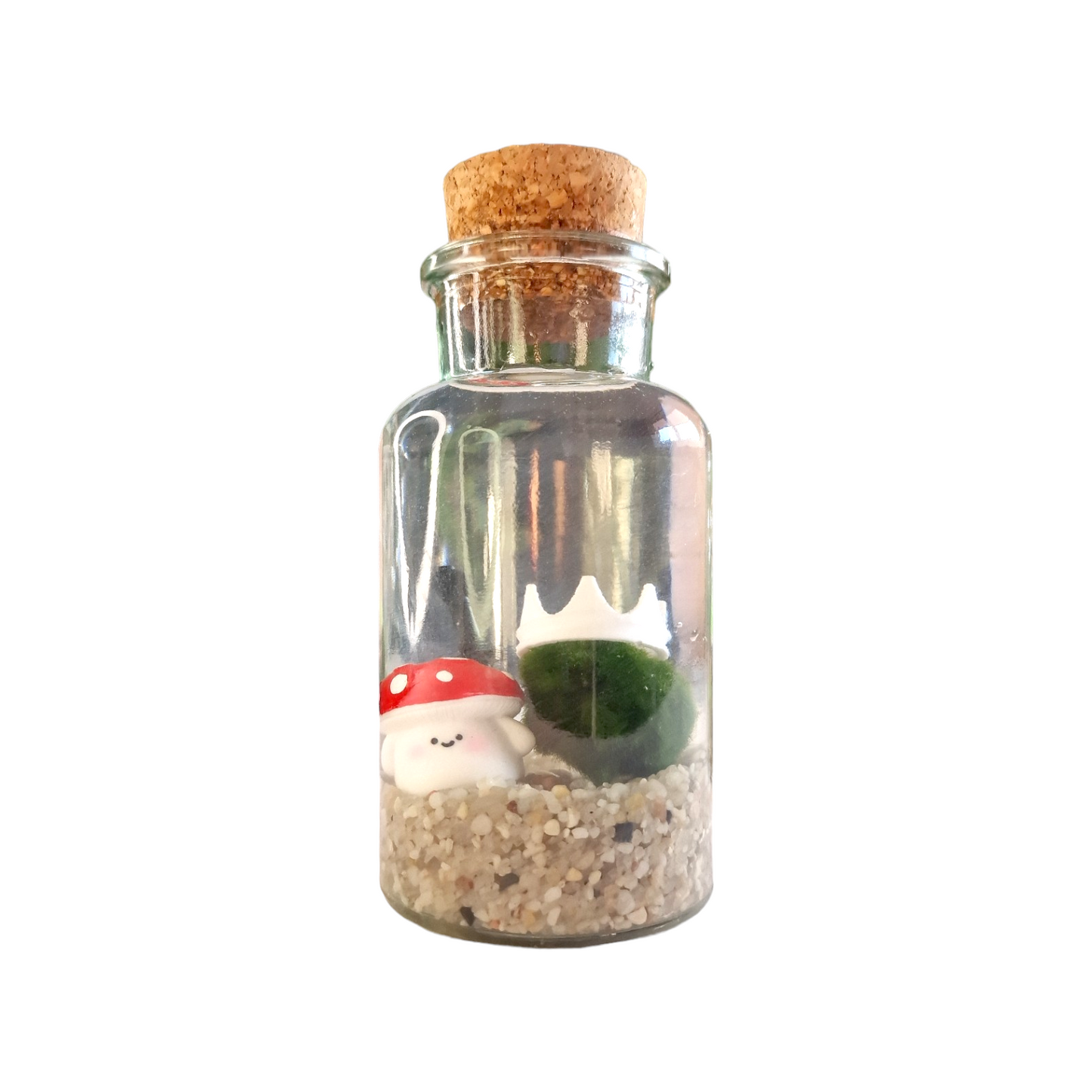 Marimo with a Happy Mushroom Friend 300ml