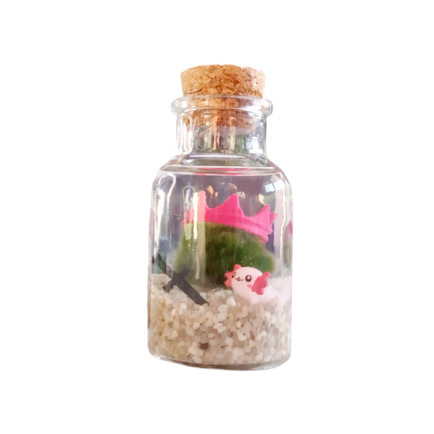 Marimo with Cute Axolotl