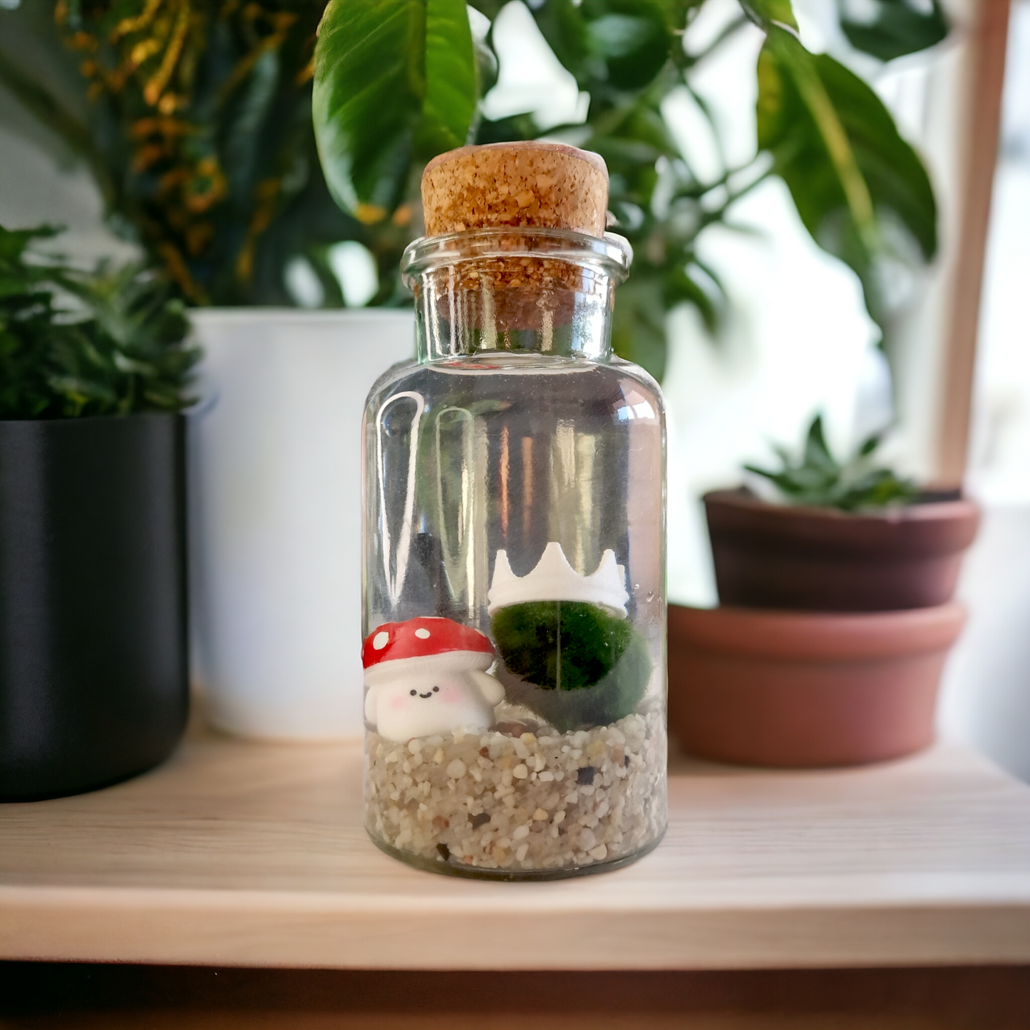 Marimo with a Happy Mushroom Friend 300ml
