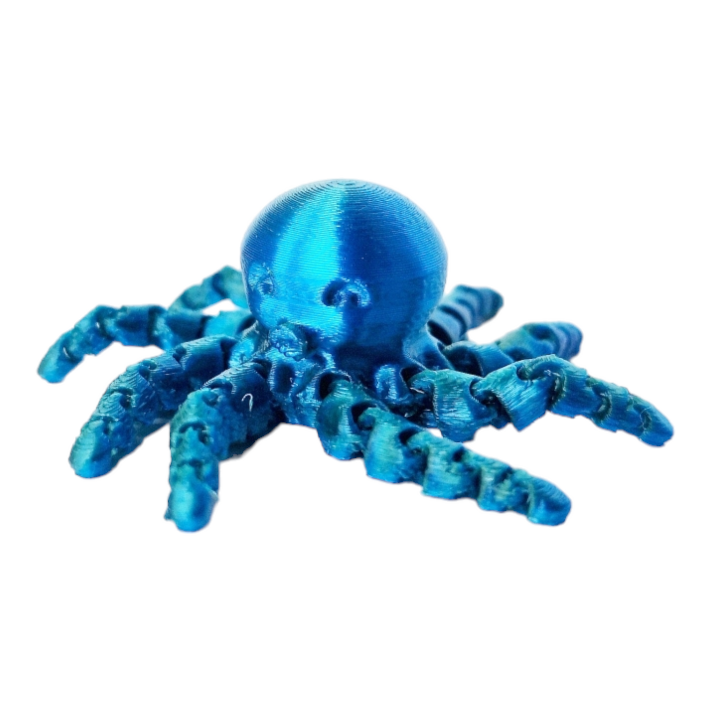 Marimo with an Octopus Friend