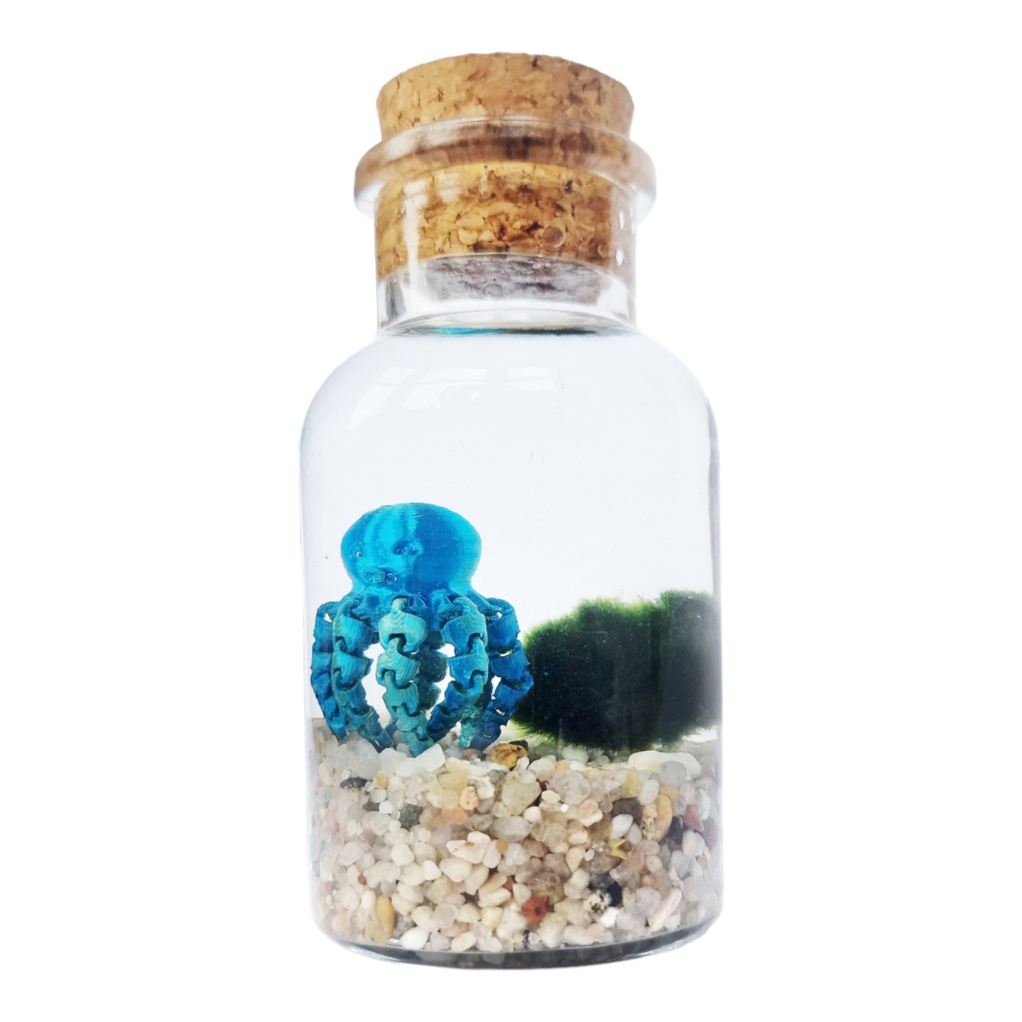 Marimo with an Octopus Friend