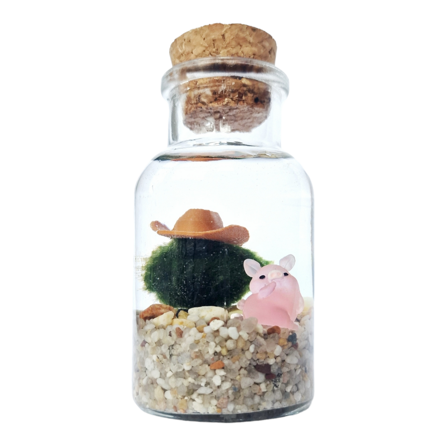 Pig Farmer Marimo