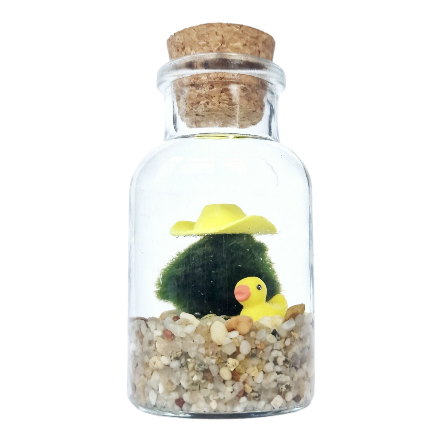 Cowboy Marimo with a Yellow Duckie