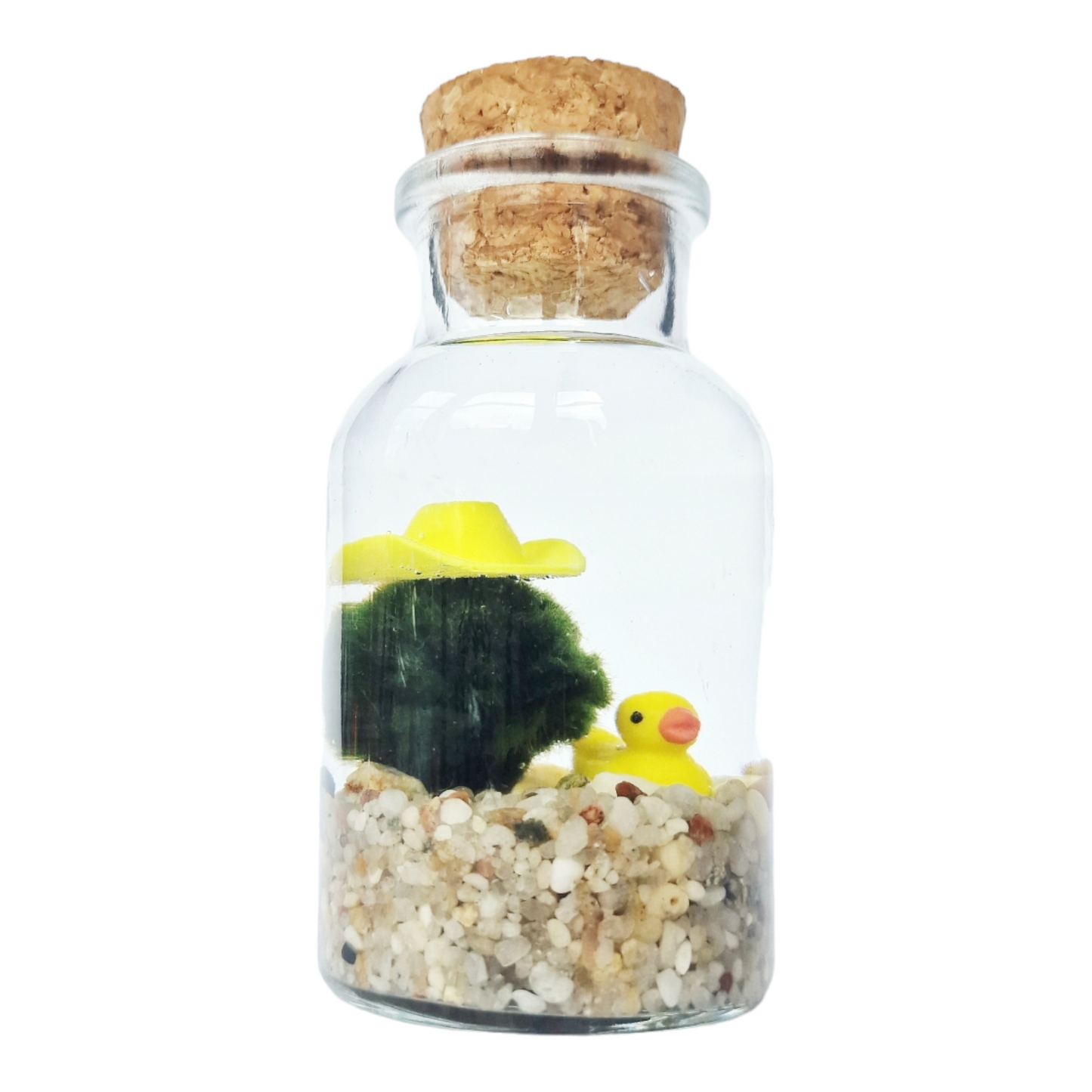 Cowboy Marimo with a Yellow Duckie