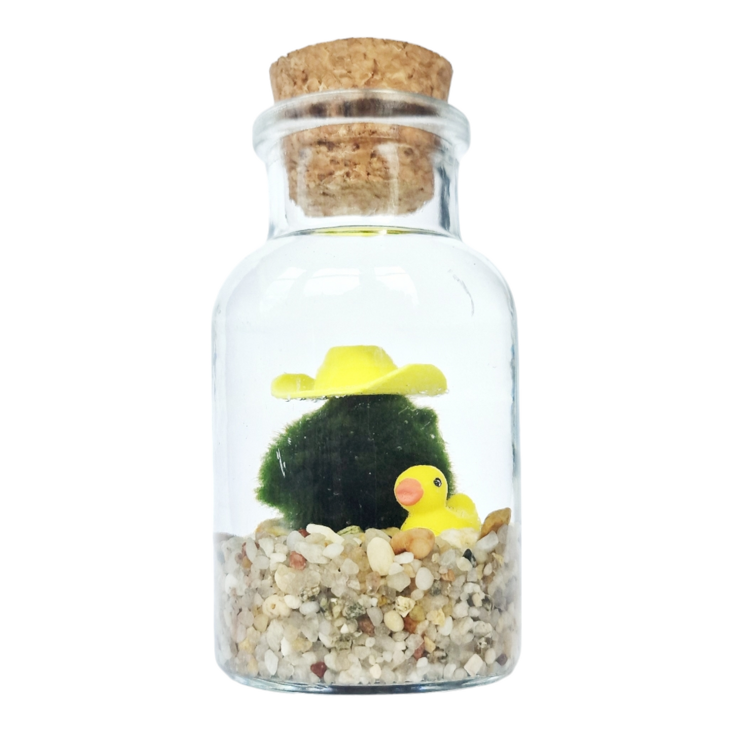 Cowboy Marimo with a Yellow Duckie