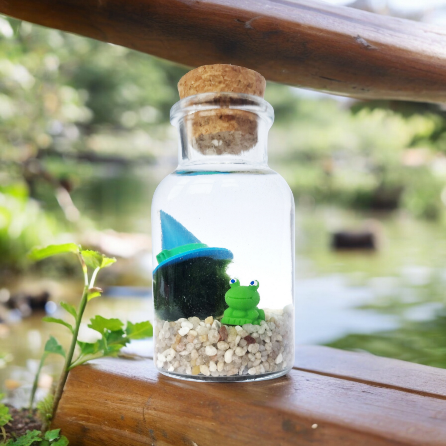 Froggy Wizard Marimo