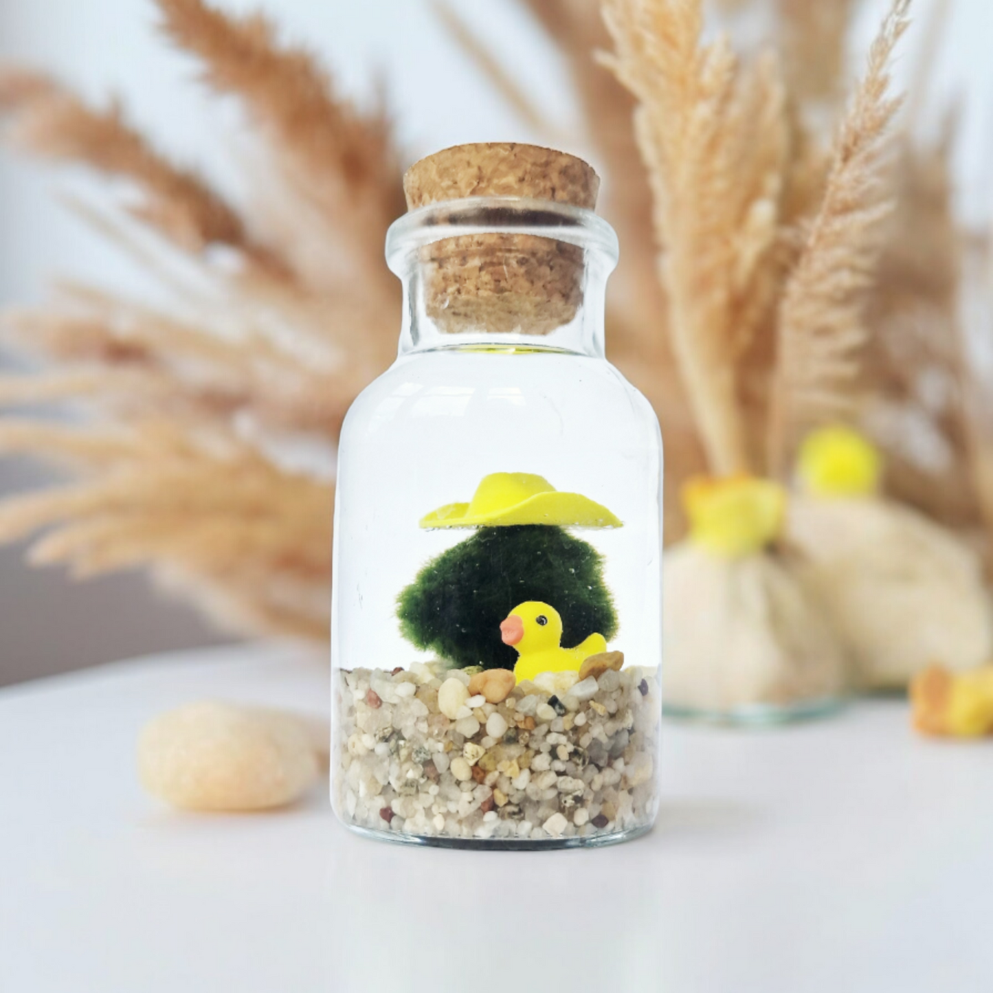 Cowboy Marimo with a Yellow Duckie