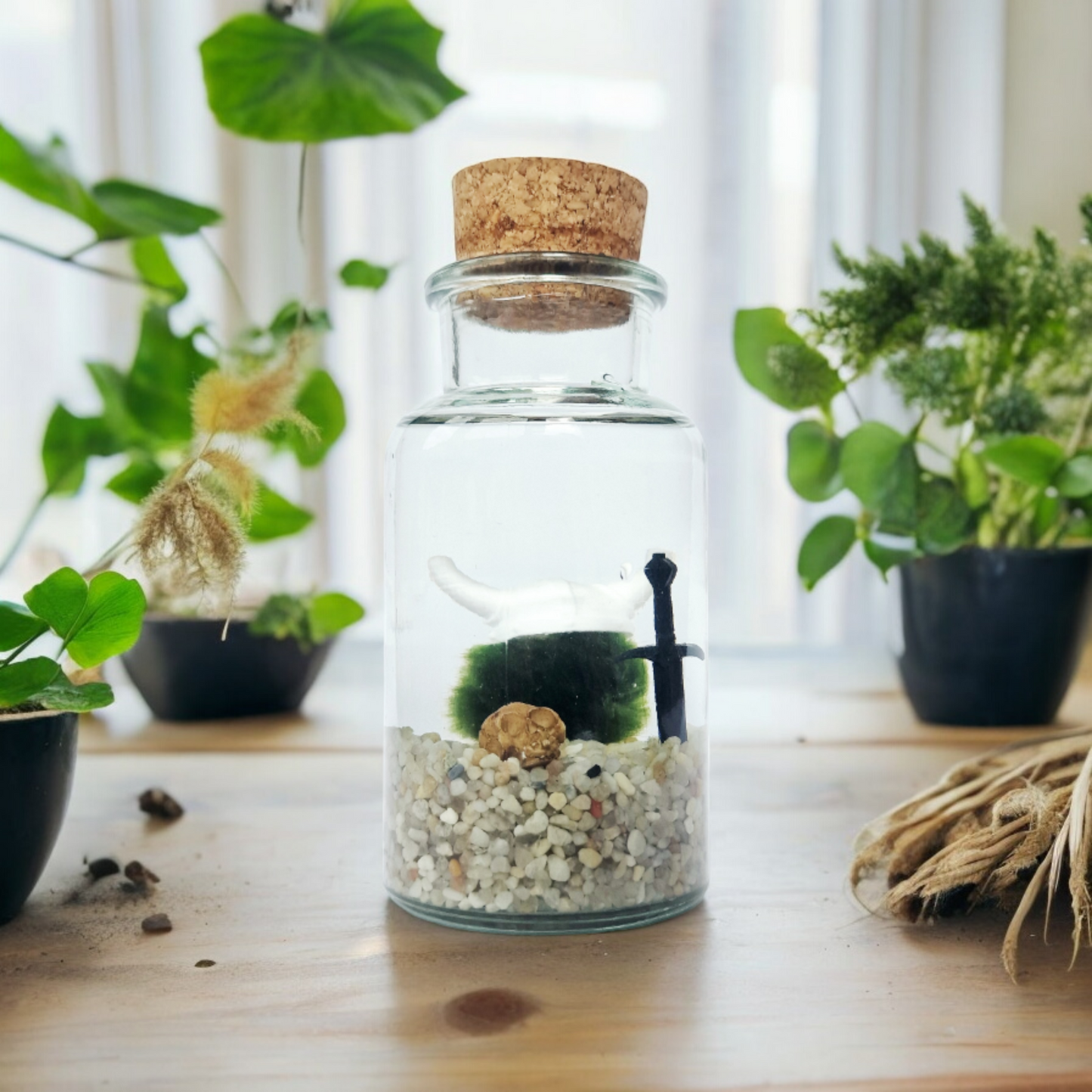 Warrior Marimo