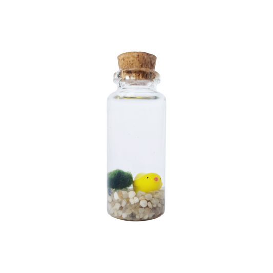 Baby Marimo with a Chick