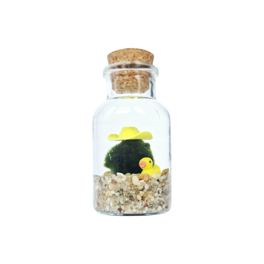 Cowboy Marimo with a Yellow Duckie