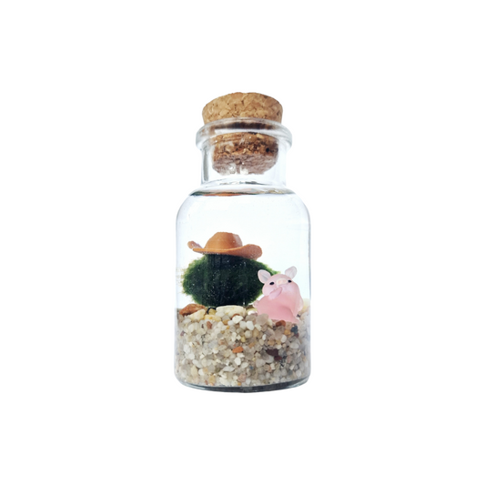 Pig Farmer Marimo