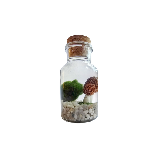 Shroom Marimo