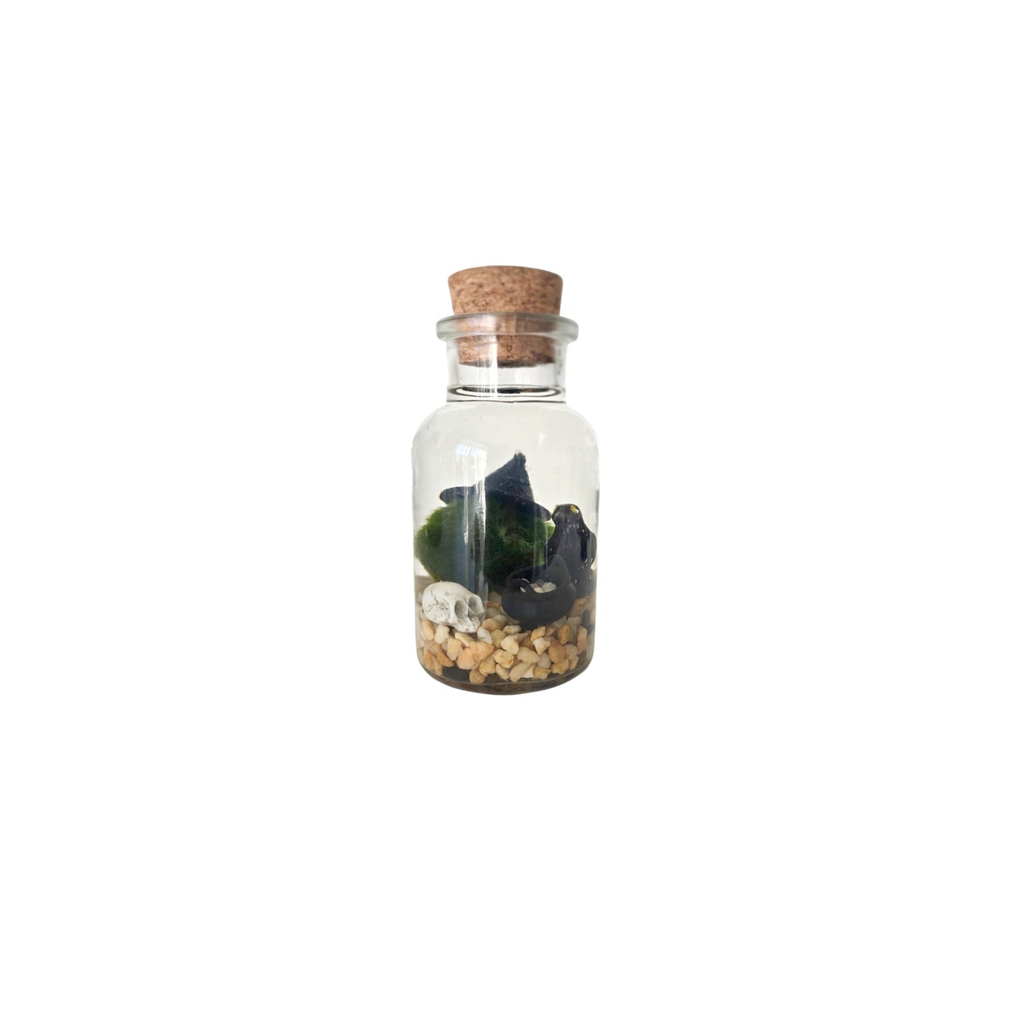 I'm That Witch Marimo