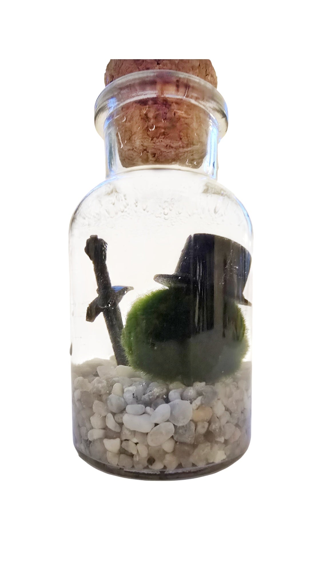 Dapper Marimo with Tophat