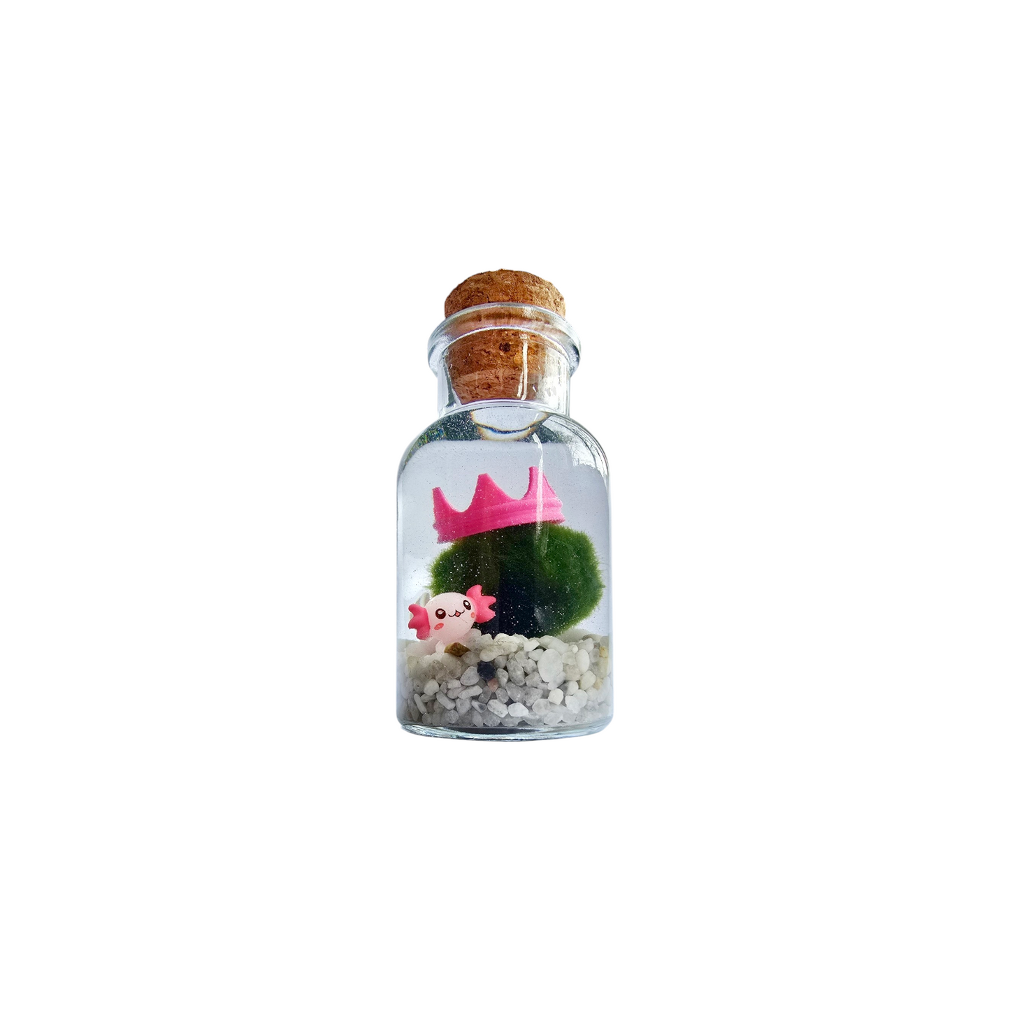 Marimo with Cute Axolotl