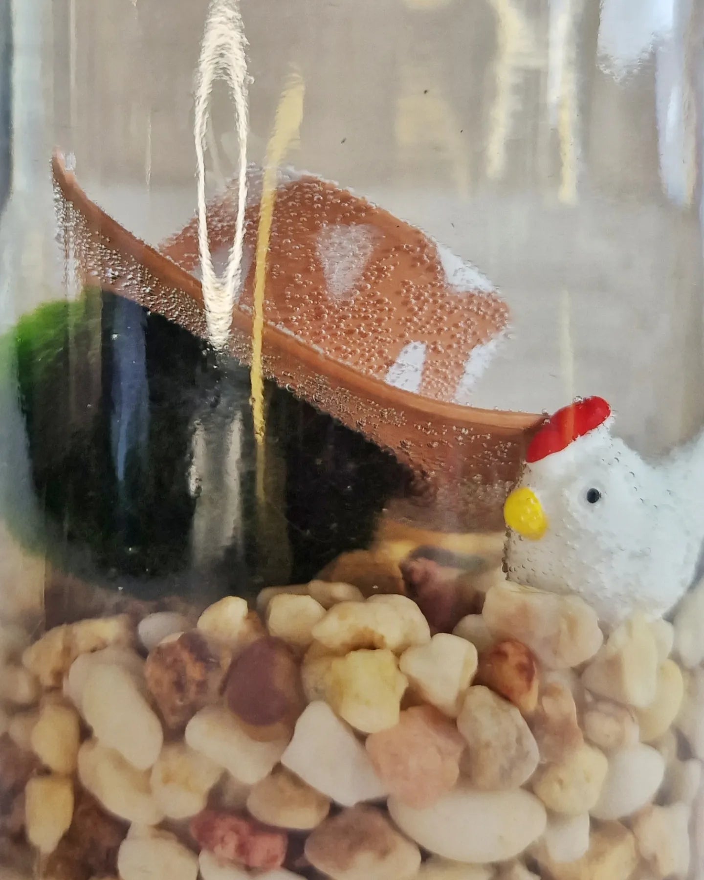 Chicken Farmer Marimo