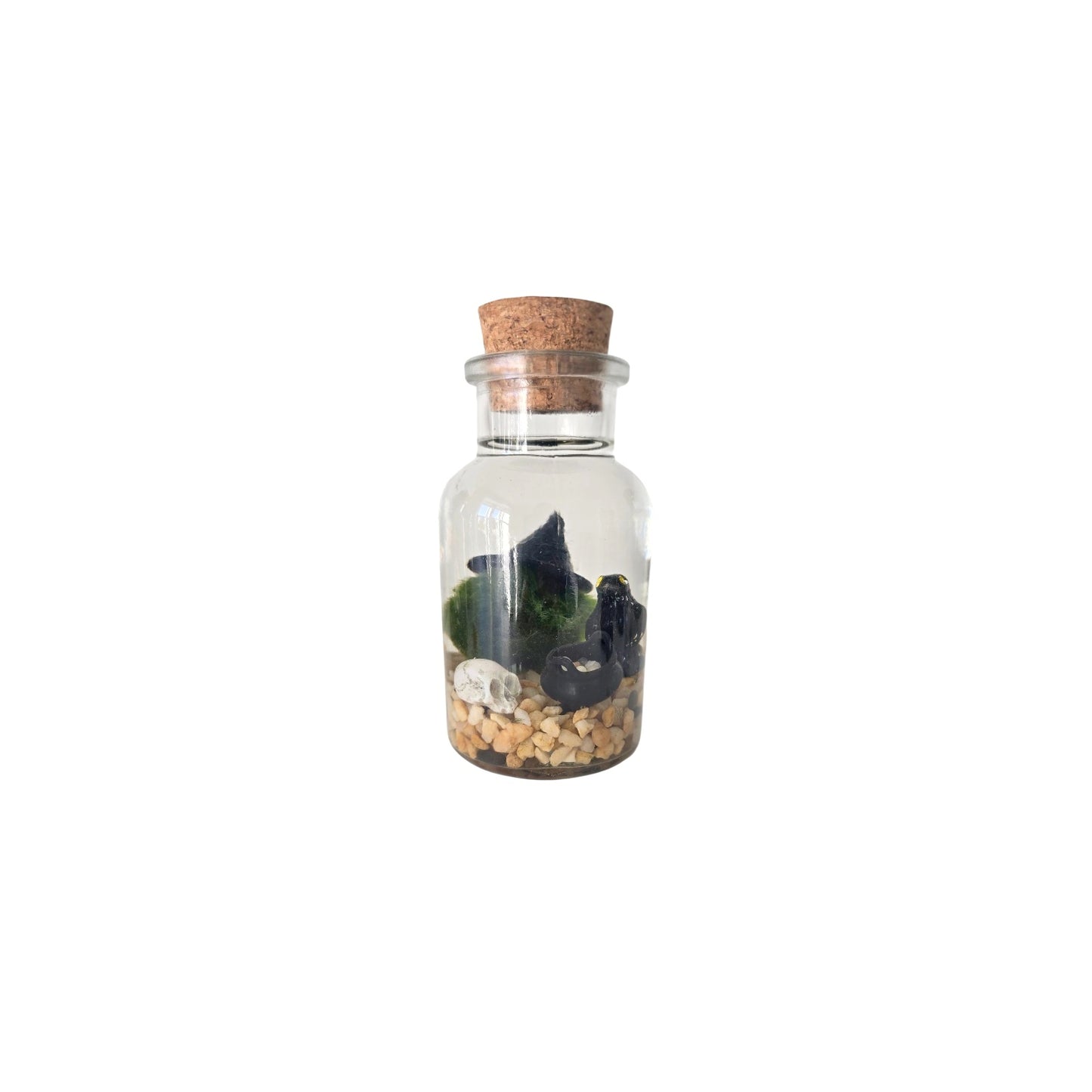I'm That Witch Marimo