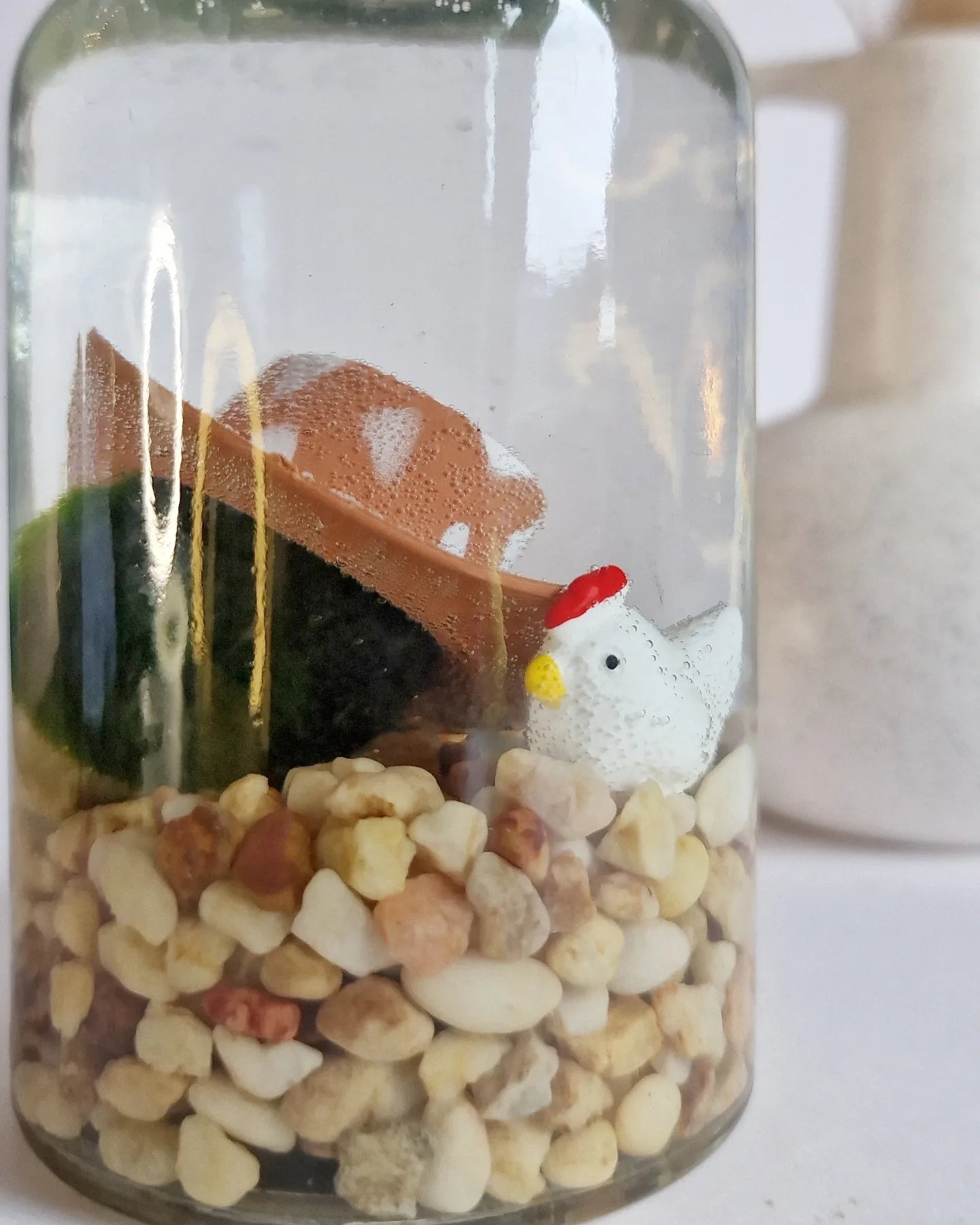 Chicken Farmer Marimo