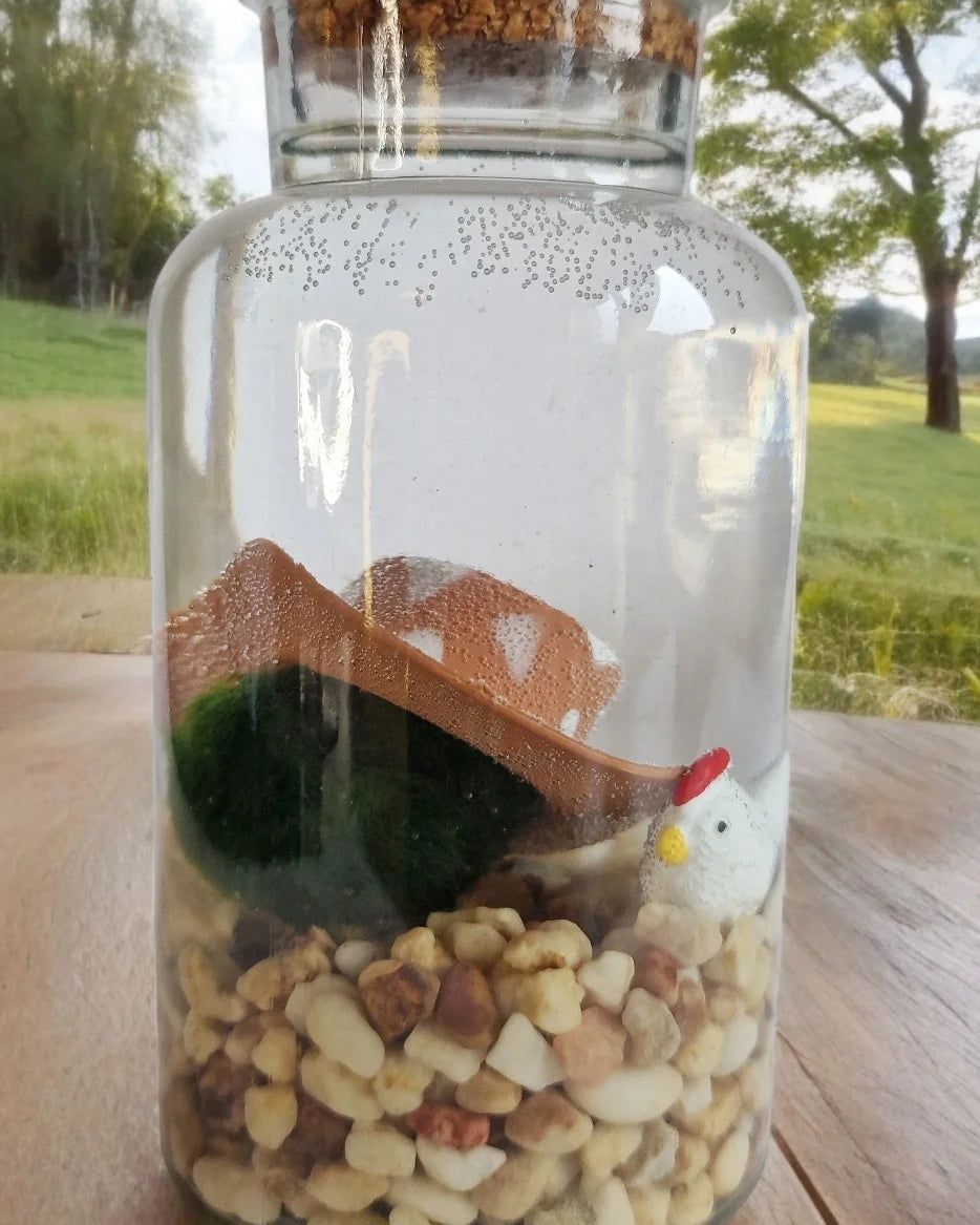 Chicken Farmer Marimo