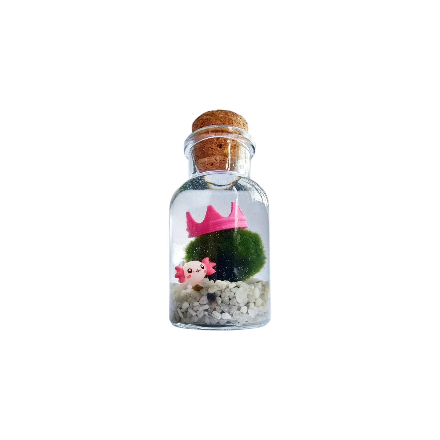Marimo with Cute Axolotl