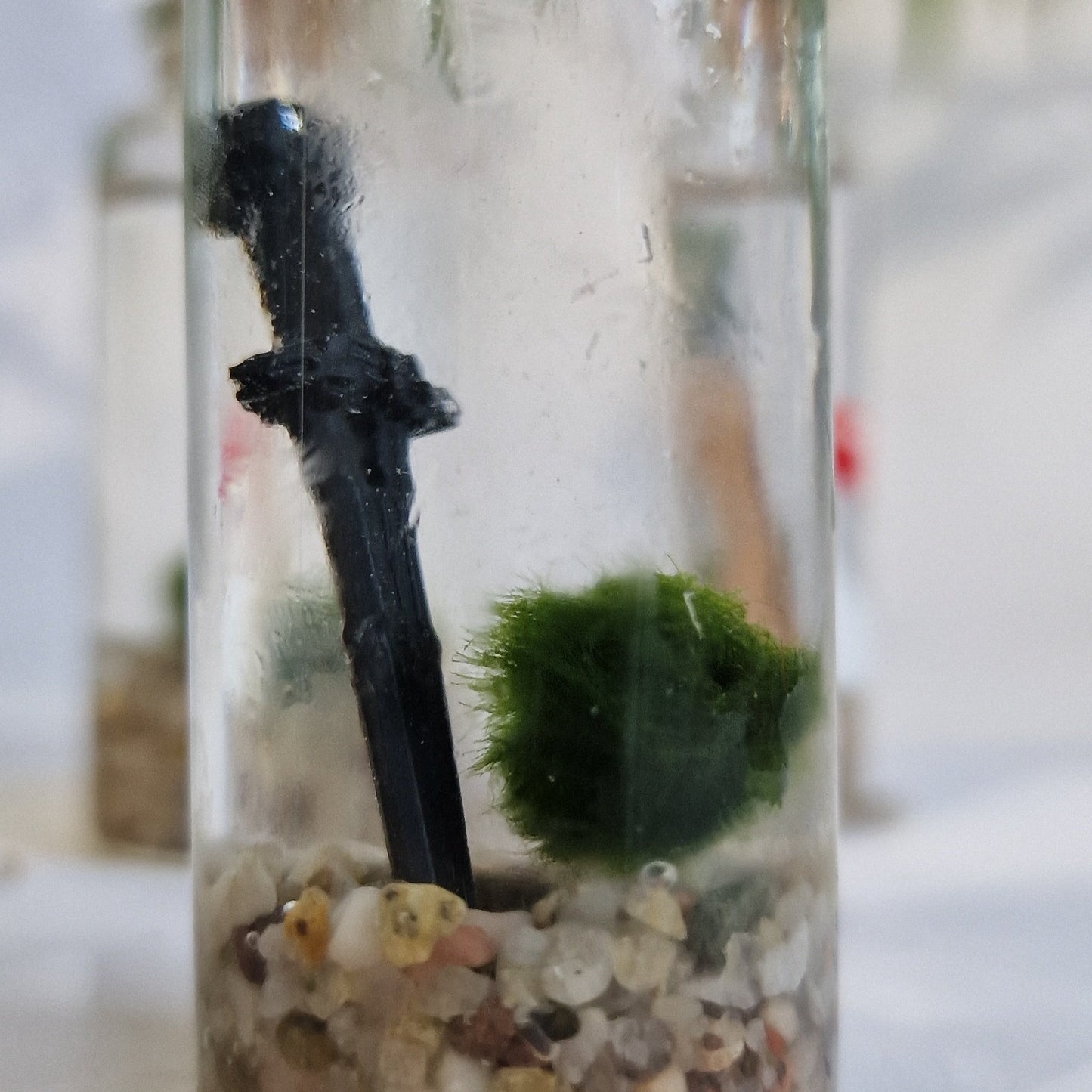 Baby Marimo with Sword