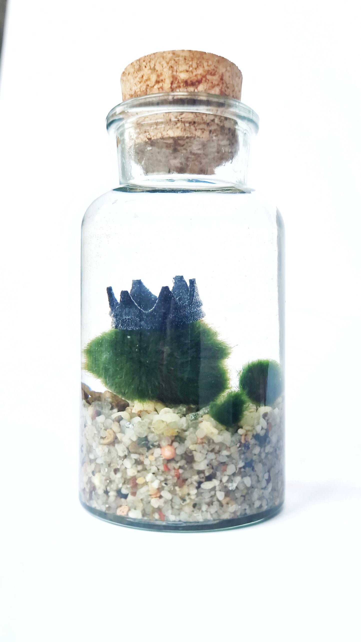 Marimo Family Triple Set