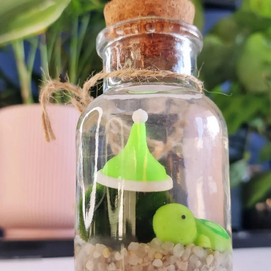 Marimo Hat Mossling Care Guide – Moss and Tumble