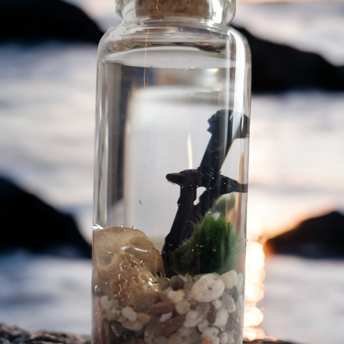 Baby Marimo Viking with Skull