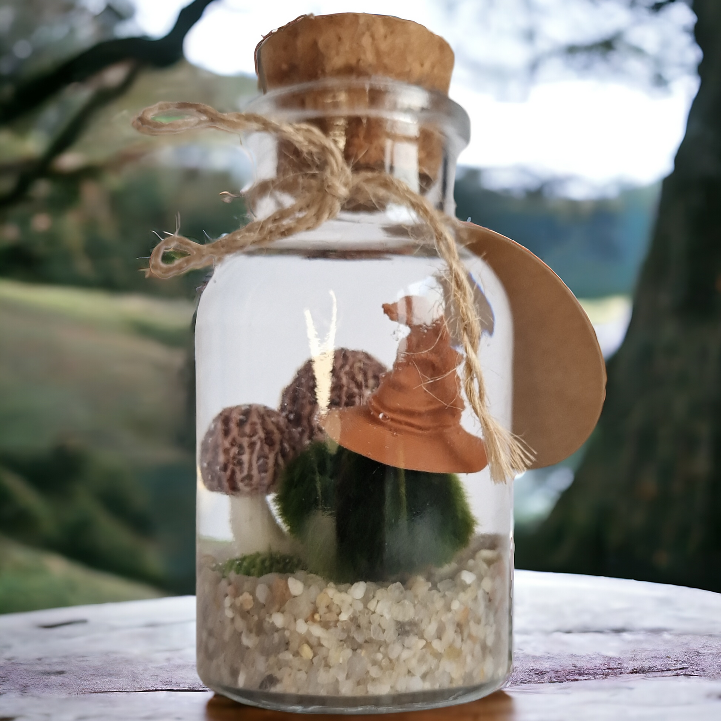 Magical Marimo with Sorting Hat