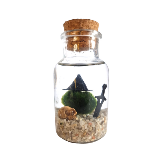 Witchy Marimo Pet with Skull