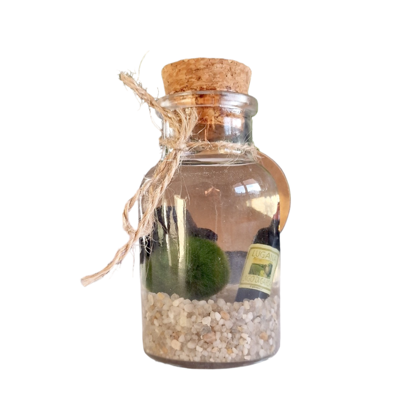 Dapper Marimo Moss Ball Pet with Wine Bottle