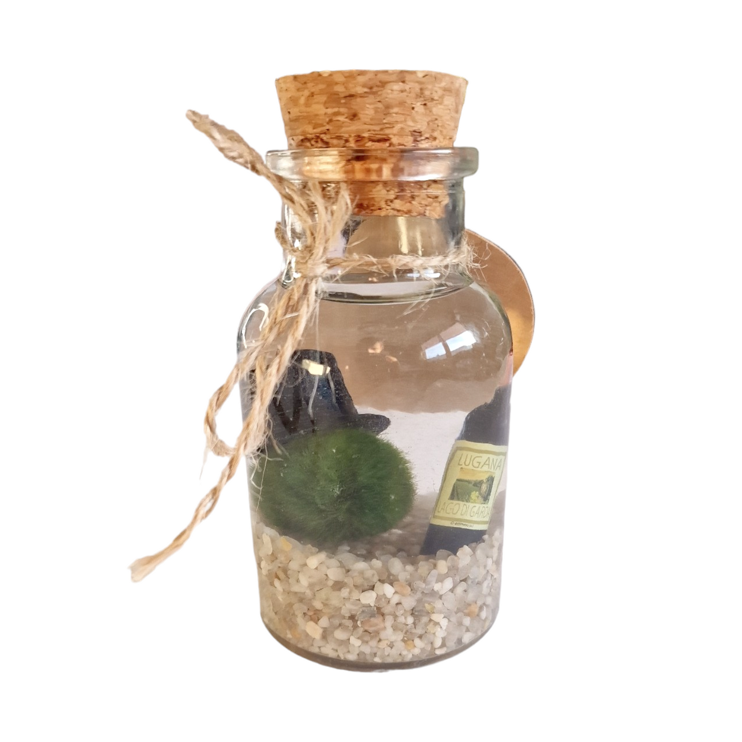 Dapper Marimo Moss Ball Pet with Wine Bottle