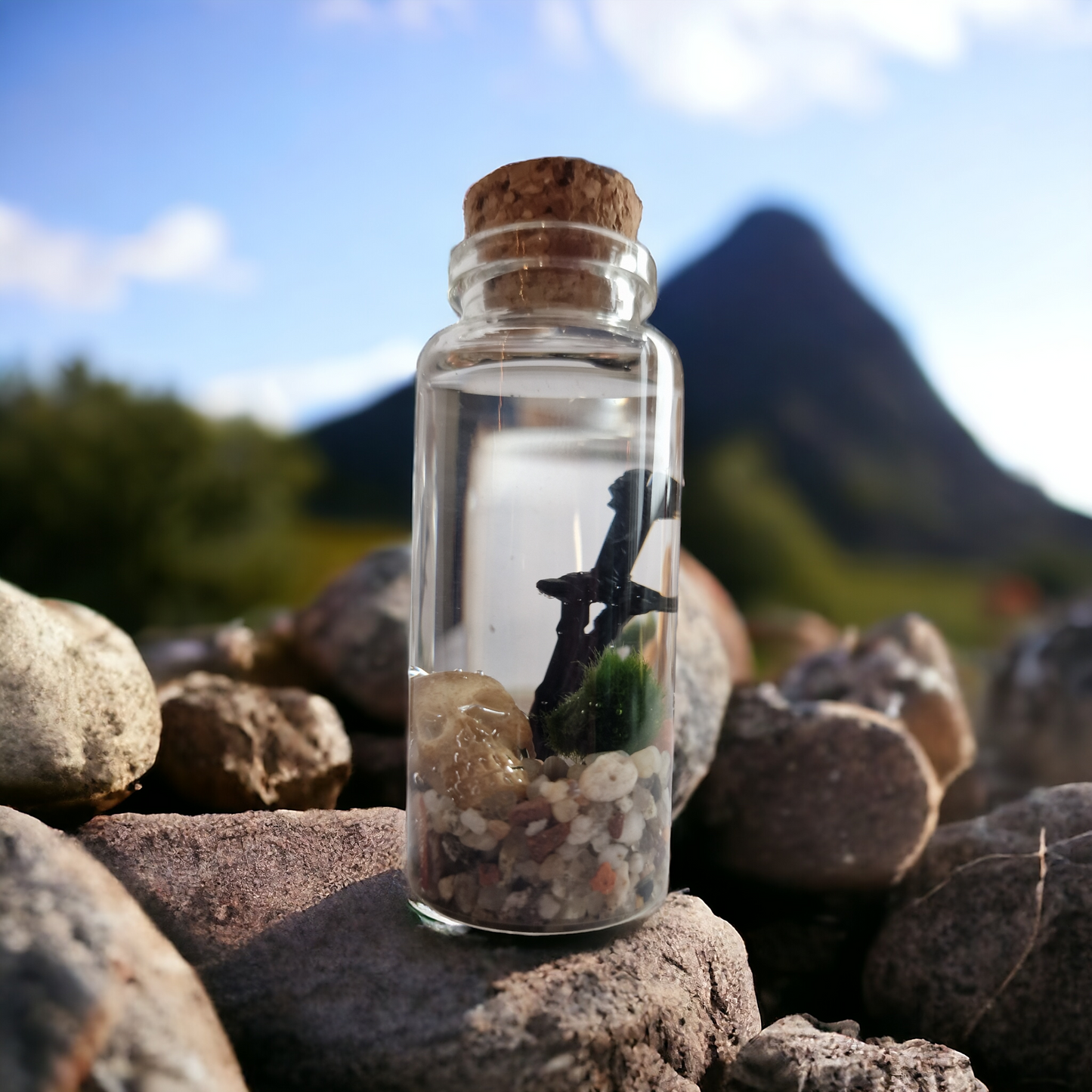 Baby Marimo Viking with Skull