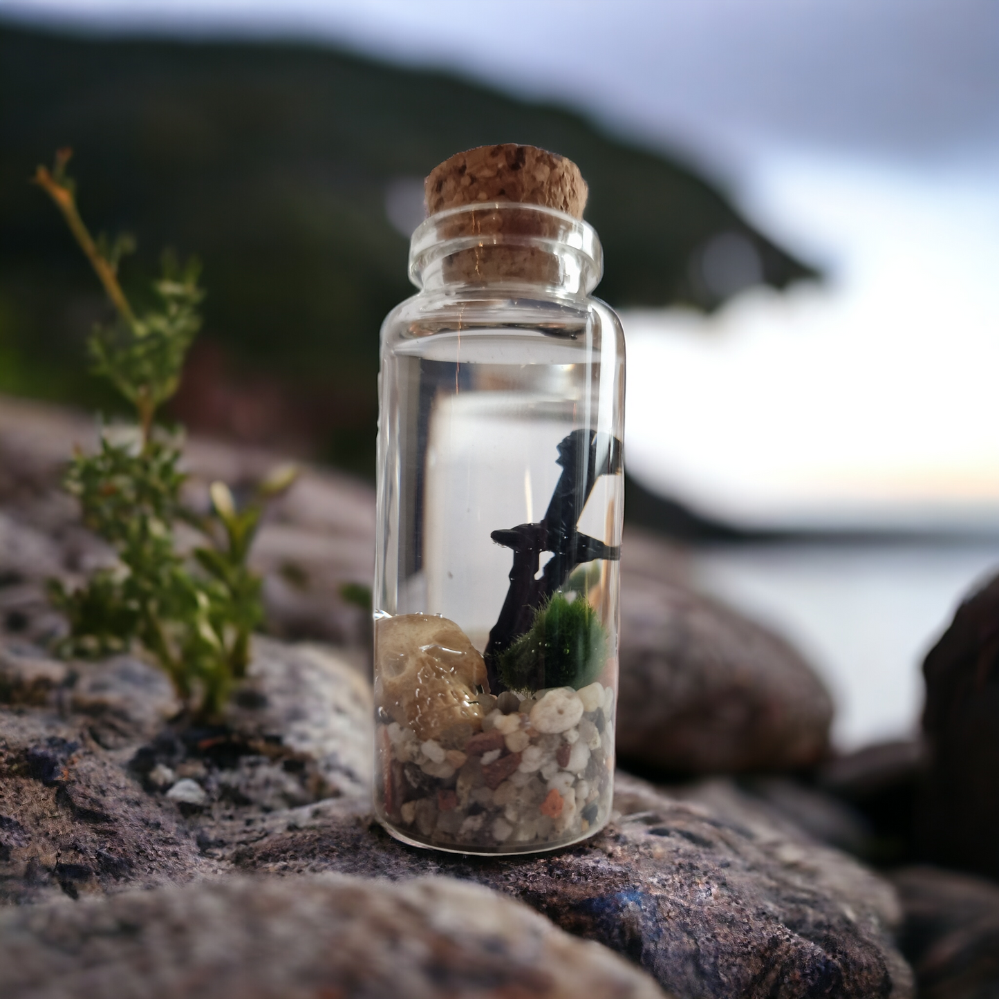 Baby Marimo Viking with Skull