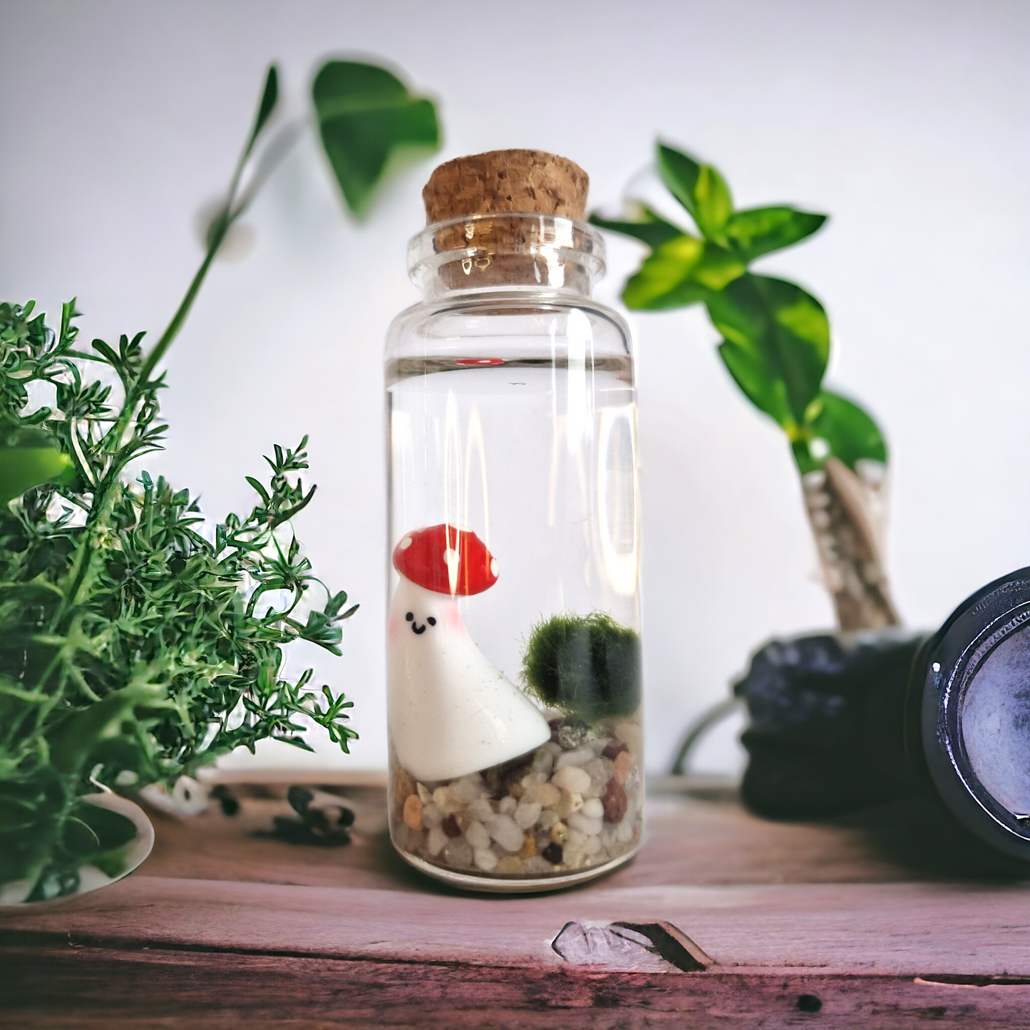 Baby Marimo with Happy Mushroom