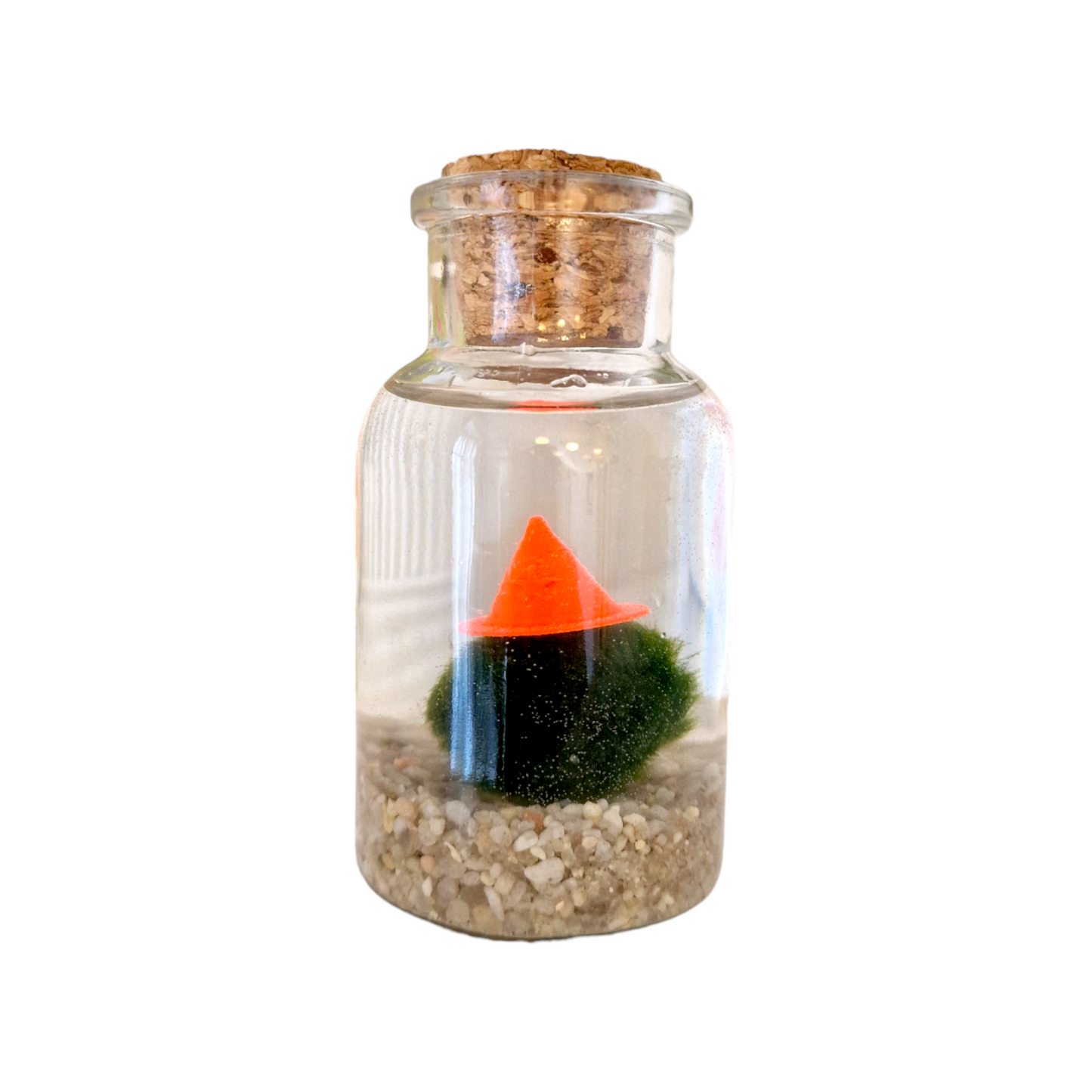 Magical Lil' Wizard Marimo Moss Ball Pet