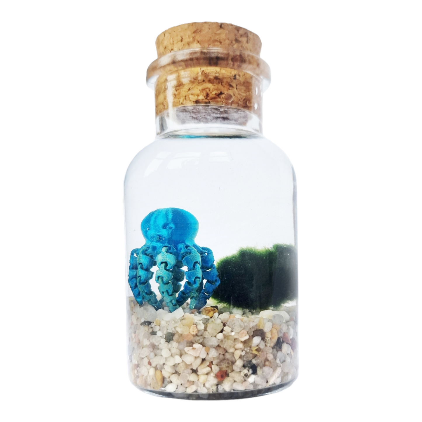 Marimo Moss Ball with Octopus