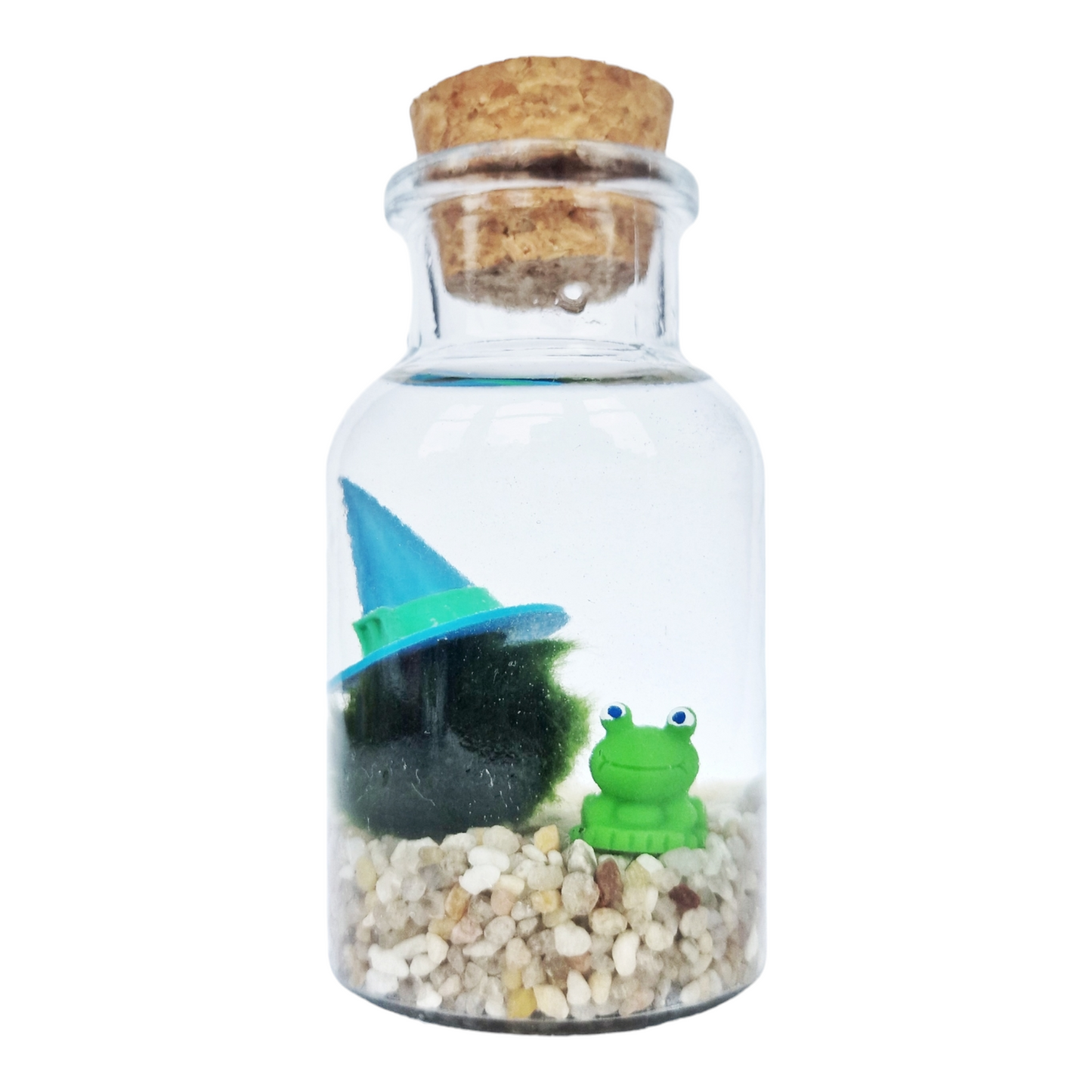 Froggy Wizard Marimo